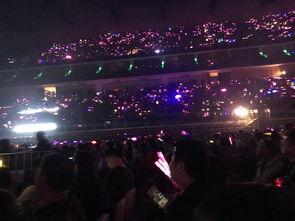 娱乐吃瓜酱演唱会,燃情开唱，狂欢之夜